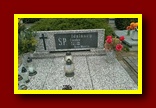 Kliknij aby powiększyć